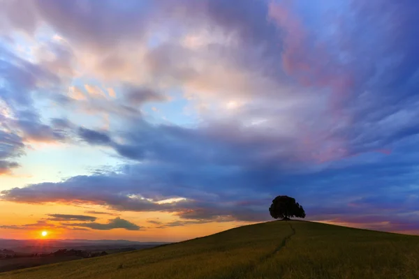 Szene des Sonnenuntergangs in den Hügeln der Toskana — Stockfoto