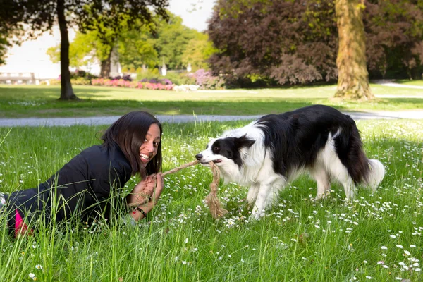 Stærk hund - Stock-foto