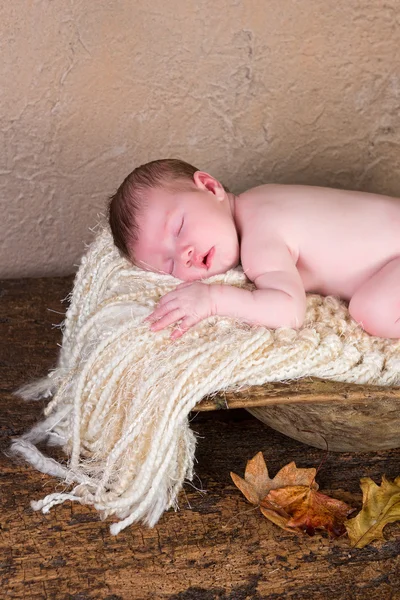 Baby in trench bowl — Stock Photo, Image