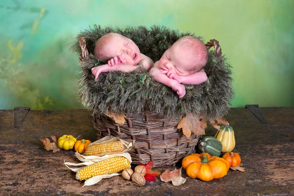 Autumn twins — Stock Photo, Image