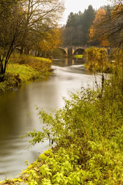 Semois i höst — Stockfoto