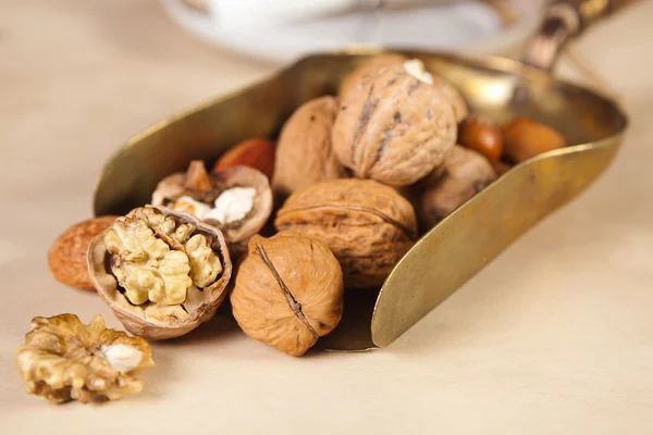 Shovel of nuts — Stock Photo, Image