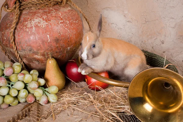 Autumn hunting still life — Stock Photo, Image