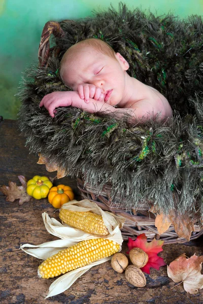 Autumn baby — Stock Photo, Image