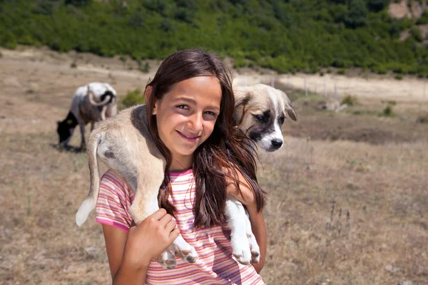 羊飼いの少女と子犬 — Stock fotografie