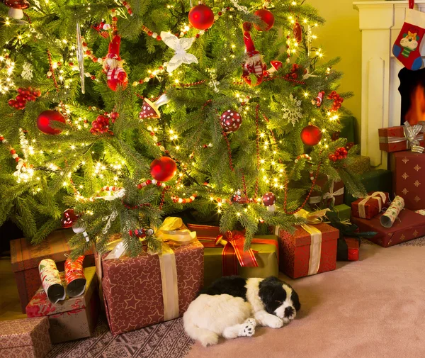 Regalos bajo el árbol de Navidad — Foto de Stock