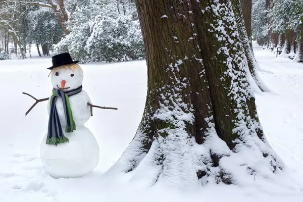 Hombre de nieve y tronco de árbol — Foto de Stock