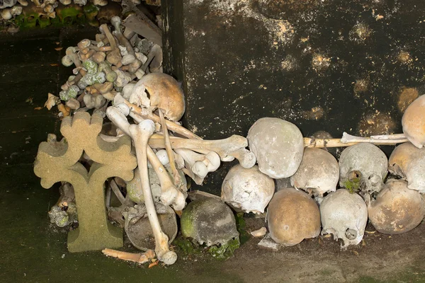 Stacked skulls — Stock Photo, Image