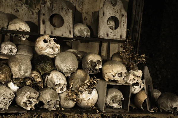 Halloween skulls — Stock Photo, Image