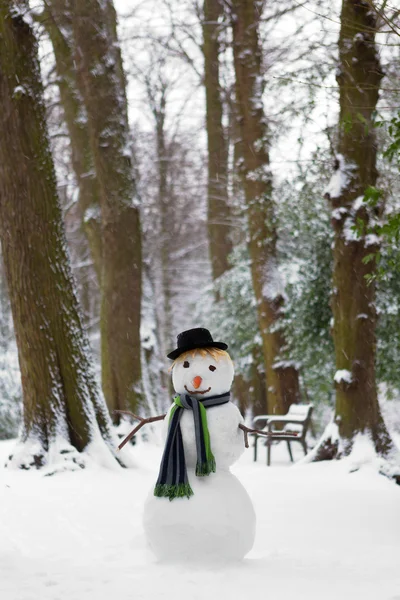 Boneco de neve congelante — Fotografia de Stock