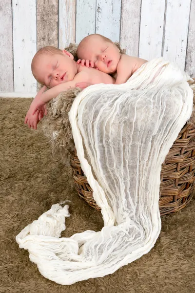 Twin baby koš — Stock fotografie