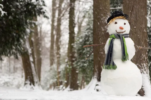 Día nevado y muñeco de nieve —  Fotos de Stock