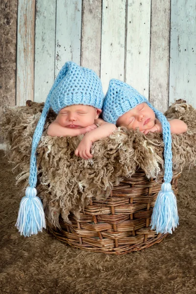 Baby basket with twins — Stock Photo, Image