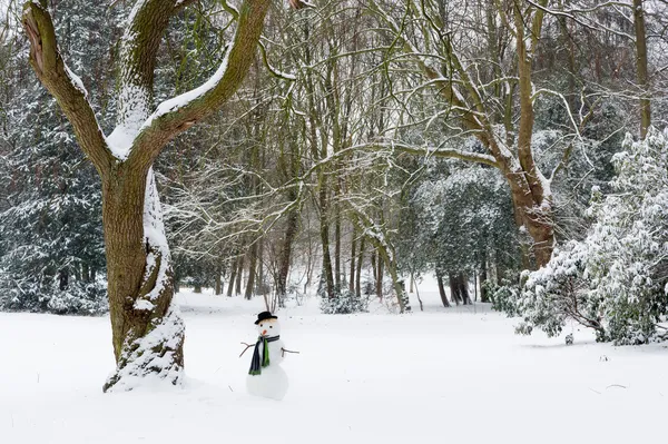 Hombre de nieve solitario —  Fotos de Stock