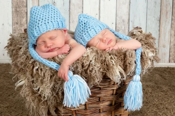 Sombrero azul bebés gemelos — Foto de Stock
