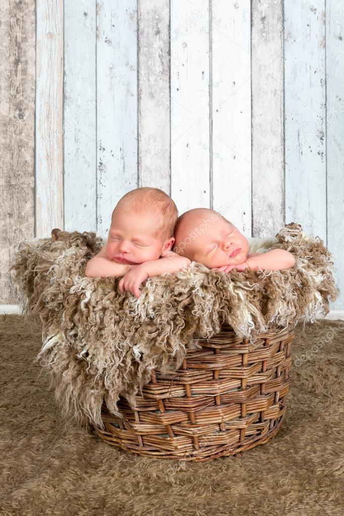 Vintage basket with twin babies