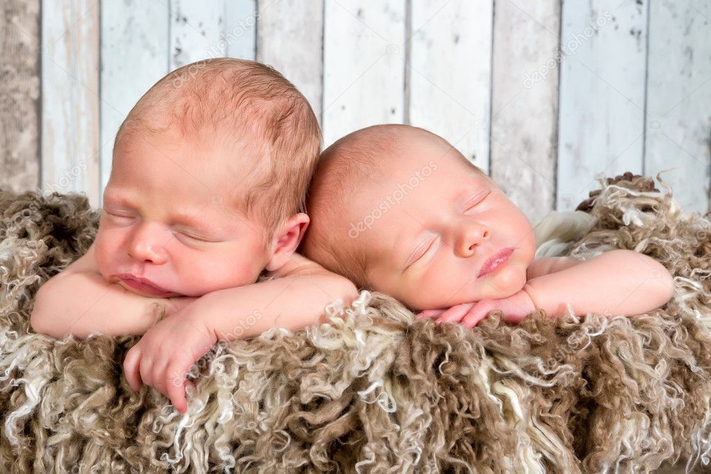 Newborn twin baby faces
