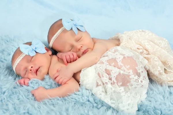 Newborn twin girls — Stock Photo, Image