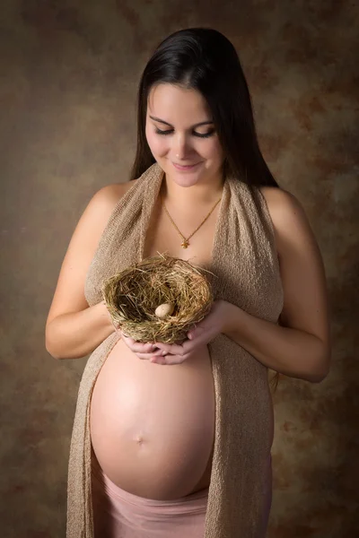 Беременная женщина с гнездом — стоковое фото
