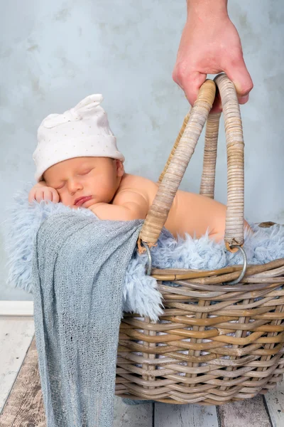Bebé durmiendo en la cesta —  Fotos de Stock