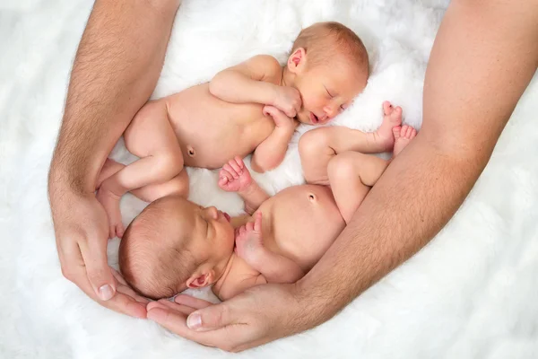 Protecting his twins — Stock Photo, Image
