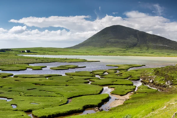 Northton Saltings — Stok fotoğraf