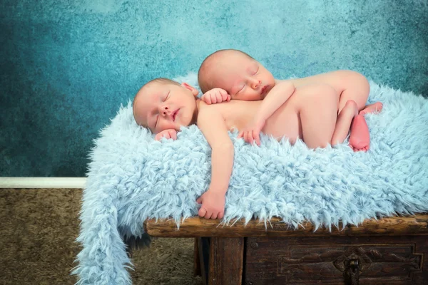 Pasgeboren twin baby 's — Stockfoto