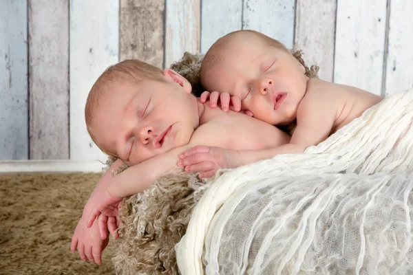 Sleeping newborn twins — Stock Photo, Image