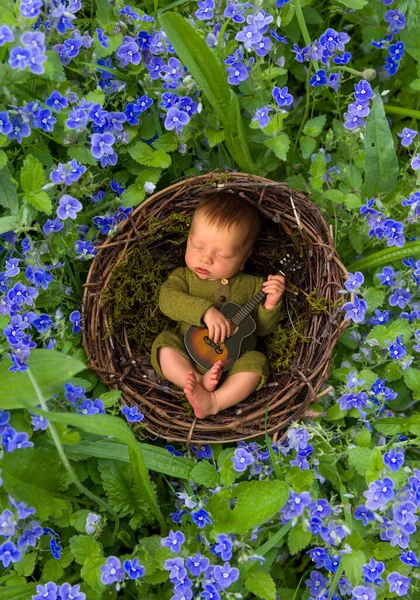 Günlük Bebek Mavi Speedwell Çiçeklerinin Ortasında Bir Yuvada Gitar Çalıyor — Stok fotoğraf