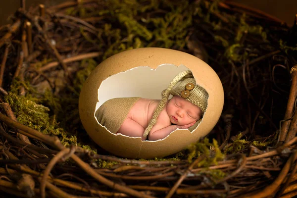 Adorável Menino Recém Nascido Apenas Dias Idade Dormindo Dentro Ovo — Fotografia de Stock