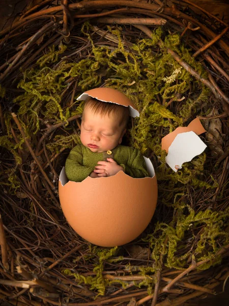 Adorável Menino Recém Nascido Apenas Dias Idade Dormindo Ovo Galinha — Fotografia de Stock