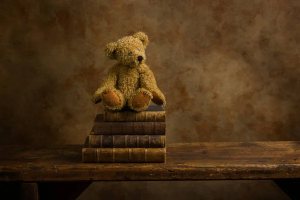 Old stuffed bear on wooden shelf