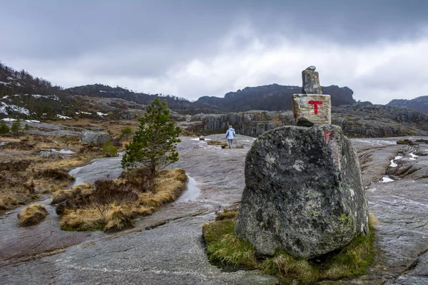 Rogaland Norway May 2015 Hiking Path Preikestolen Norway Overcast Day — стокове фото