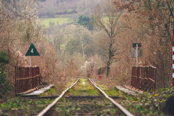 橋の上の森の中で秋や冬の放棄された列車のトラック 季節のテーマ — ストック写真
