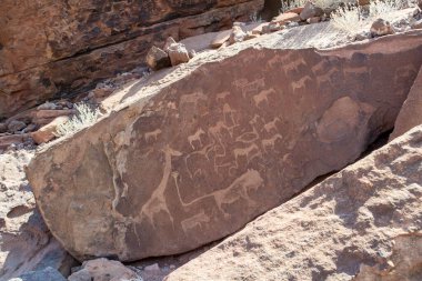 Lion Plate with Lion Man Twyfelfontein Rock gravürleri Namibya 'da