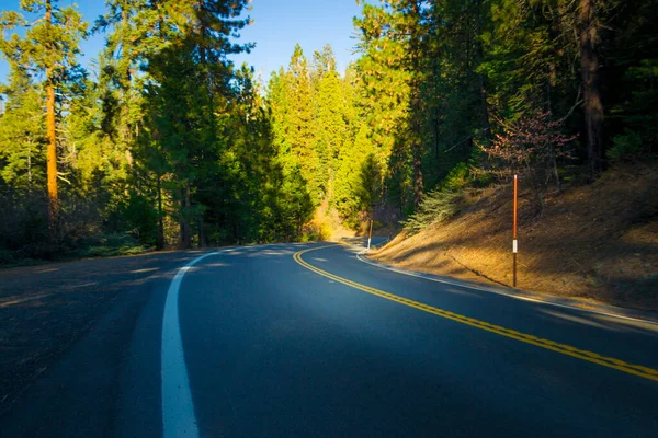 Strada Americana Sinuosa Nella Pineta Del Parco Nazionale Dello Yosemite — Foto Stock