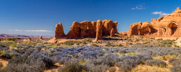 Utah, ABD 'deki Arches Ulusal Parkı' nda renkli ve canlı bir manzara. Doğada güzellik.