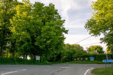 Conjoux, Belçika, Mayıs 2022: Baraque de Conjoux, Belçika 'nın en eski Tilia ağaçlarından biri.
