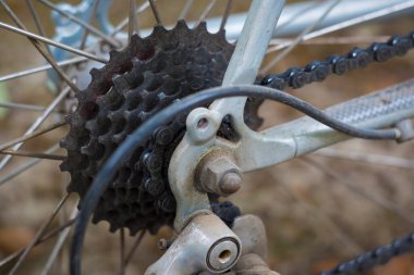 Close-up shot of a dusty and dirty rear wheel bike gear and chain that needs lubrication and service.