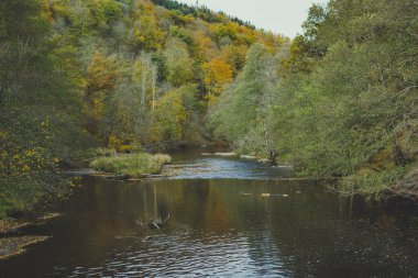 Belçika ulusal parkındaki Ourthe Nehri 'ne bakın. Sonbaharda Belçika' nın Ardennes şehrinde iki Ourthes. Doğada güzellik.