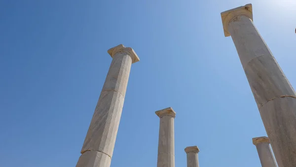 Huset Med Dionysos Vid Den Arkeologiska Platsen Delos Grekland — Stockfoto