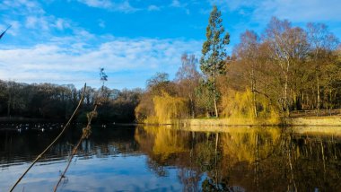 Leeds 'teki Roundhay Park İngiltere' deki en büyük şehir parklarından biridir.