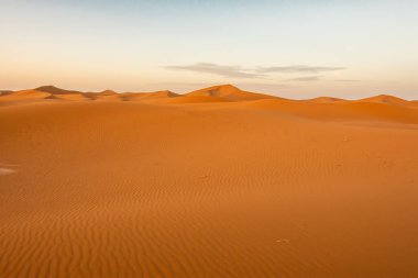 Sahara dünyanın en büyük çölüdür.