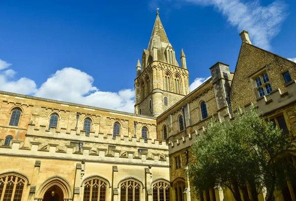 Храм Христа Спасителя Является Кафедральным Собором Английской Епархии Оксфорда Англия — стоковое фото
