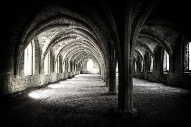 cellarium