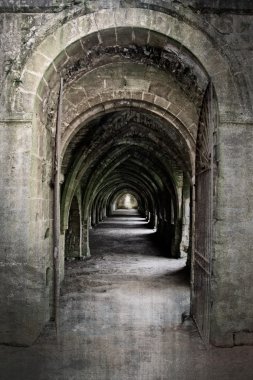 cellarium