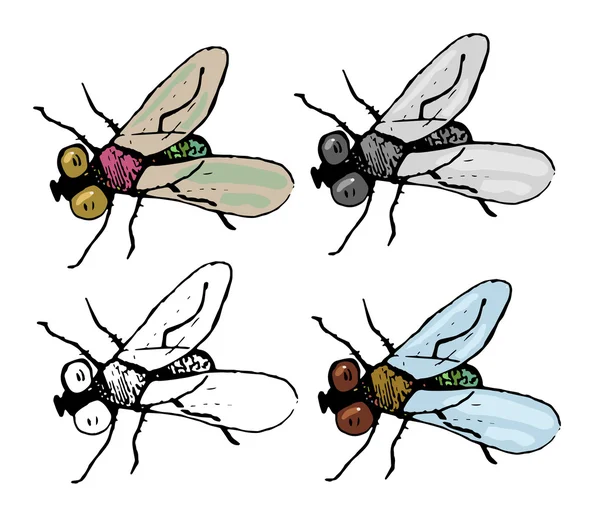 ชุดของแมลงวันสี่รูปแบบ — ภาพเวกเตอร์สต็อก
