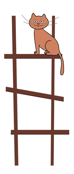 Cat on ladder — Stock Vector