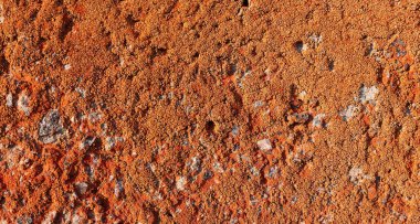 Beton levha yüzeyinde soyut yosun. Beton duvar dokusu. Eski çatlak bina arka planı