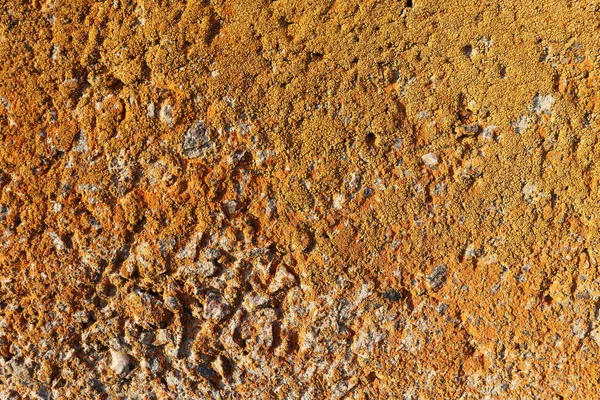 Mousse Abstraite Sur Surface Dalle Béton Texture Mur Ciment Vieux — Photo